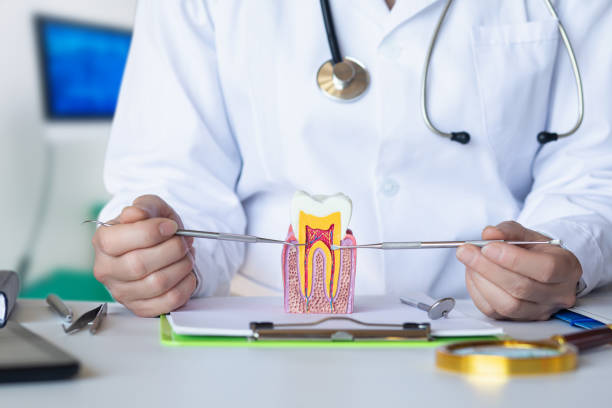 Best Emergency Treatment for Toothache in Albertson, NY